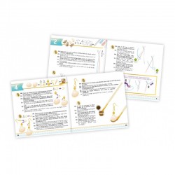 6 Bijoux Coquillages