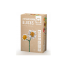 Blocks Chrysanthemum