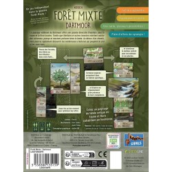 Forêt Mixte - Dartmoor