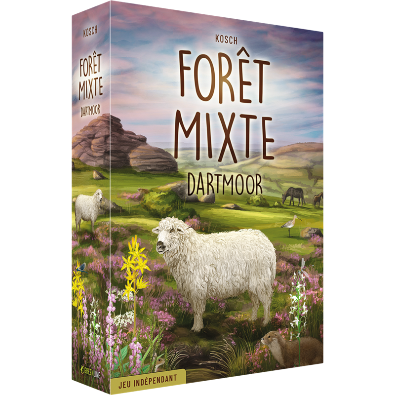 Forêt Mixte - Dartmoor
