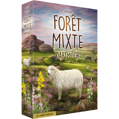 Forêt Mixte - Dartmoor