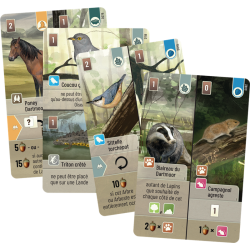 Forêt Mixte - Dartmoor