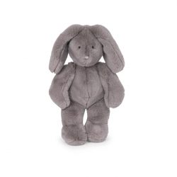 Lapin gris - Arthur et Louison