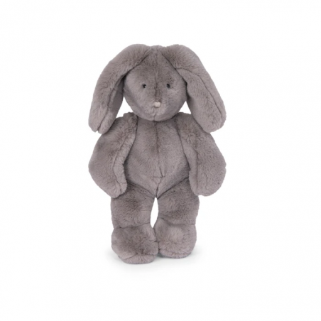 Lapin gris - Arthur et Louison