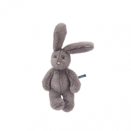 Petit lapin gris - Arthur et Louison