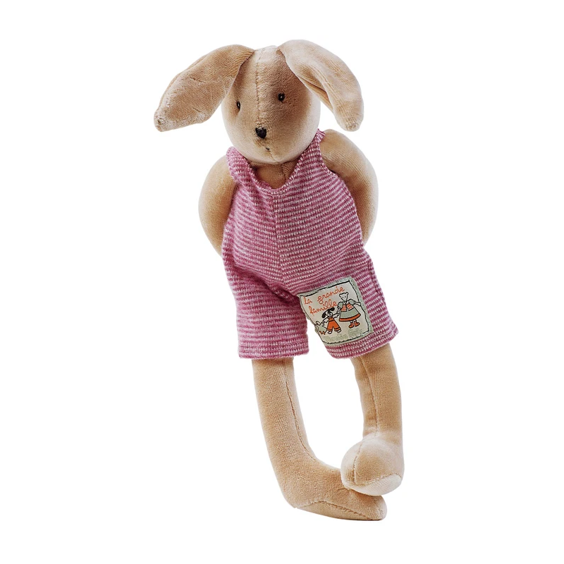 Petit sylvain le lapin - La grande famille