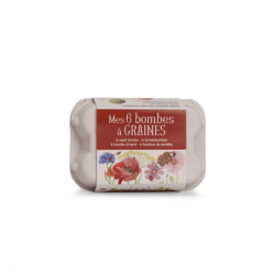 Mes 6 Bombes à graines