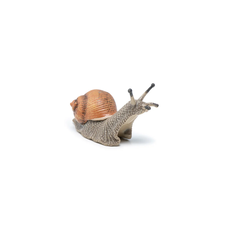 Escargot